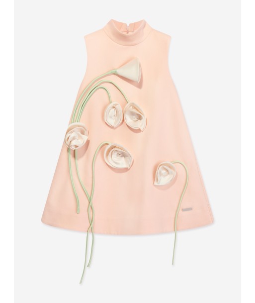 Jessie And James Girls Flora Dress in Pink commande en ligne